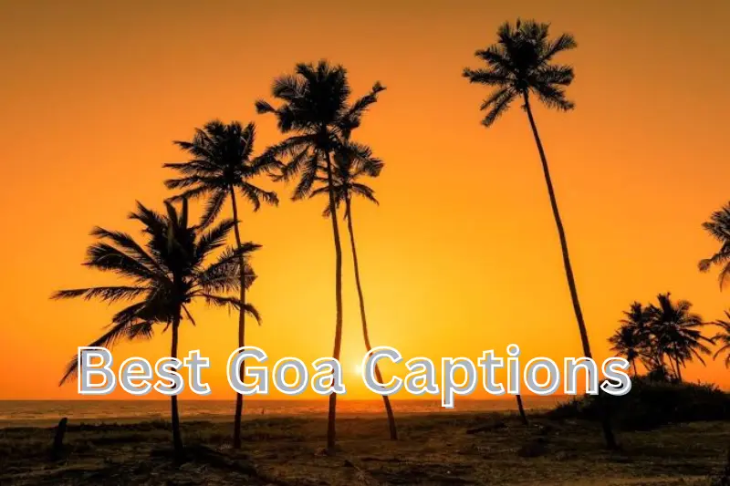 goa captions